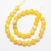 Natural Fire Crackle Agate Bead Strands G-K166-07F-10mm-17-2