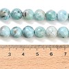 Natural Larimar Beads Strands GG-CBA007A-B01-8.5mm-5