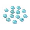 Natural Howlite Cabochons TURQ-L031-033A-01-1