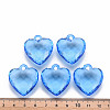 Transparent Acrylic Pendants TACR-T024-03B-940-4