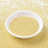 MIYUKI Round Rocailles Beads SEED-X0054-RR0273-2