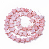 Freshwater Shell Beads Strands X-SHEL-T014-009F-2