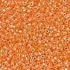 MIYUKI Delica Beads SEED-X0054-DB1563-3
