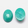 Imitation Amazonite Cabochons G-K021-18x13mm-09-2