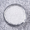 Glass Seed Beads SEED-S042-11B-08-2