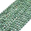 Natural Dyed White Jade Beads Strands G-C116-A51-02-2