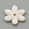 Natural Freshwater Shell Beads SHEL-S269-32-3