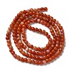 Natural South Red Agate Beads Strands G-B090-A04-03-3