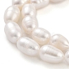 Natural Cultured Freshwater Pearl Beads Strands PEAR-P062-10C-4
