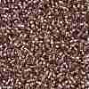 Cylinder Seed Beads SEED-H001-G19-4