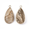 Natural Picture Jasper Pendants G-S344-51E-2