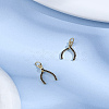 2Pcs Brass Micro Pave Grade AAA Cubic Zirconia Pendants ZIRC-LP0001-20-1
