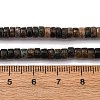 Natural Biotite Beads Strands G-L624-I12-2x4mm-5