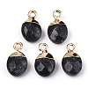 Natural Larvikite Charms G-N326-58A-2
