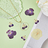 120pcs 3 Style Dried Pansy Flower DIY-HY0001-62-4