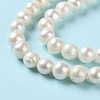 Natural Cultured Freshwater Pearl Beads Strands PEAR-E018-40-4