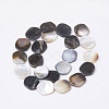 Black Lip Shell Beads Strands BSHE-T002-02-2
