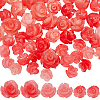 60Pcs 3 Styles Resin Beads RESI-HS0001-12-1