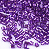 FGB Grade A Glass Seed Beads SEED-S022-04A-27-2