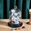 Arch Glass Dome Cover AJEW-WH0481-606B-4