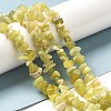 Natural Lemon Jade Chip Bead Strands G-M205-22-6