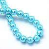 Baking Paint Pearlized Glass Pearl Round Bead Strands HY-Q003-10mm-48-4
