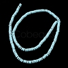 Dyed Synthetic Turquoise Beads Strands G-Z089-A04-F-4