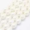 Shell Pearl Beads Strands BSHE-P024-10-1