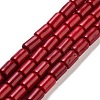 Synthetic Turquoise Beads Strands TURQ-G120-4x6mm-07-1