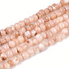Natural Freshwater Shell Dyed Beads Strands SHEL-T020-29B-05-1