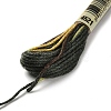 10 Skeins 6-Ply Polyester Embroidery Floss OCOR-K006-A15-2