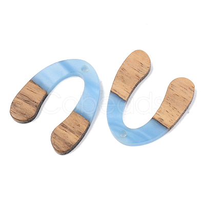 Resin & Walnut Wood Pendants RESI-S389-058B-1