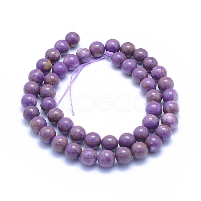 Natural Lepidolite/Purple Mica Stone Beads Strands G-L552H-09D-1