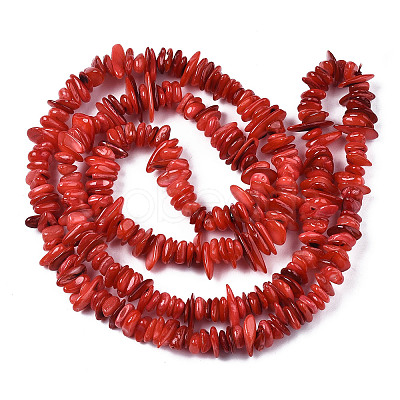 Natural Freshwater Shell Beads Strands X-SHEL-S278-071A-1