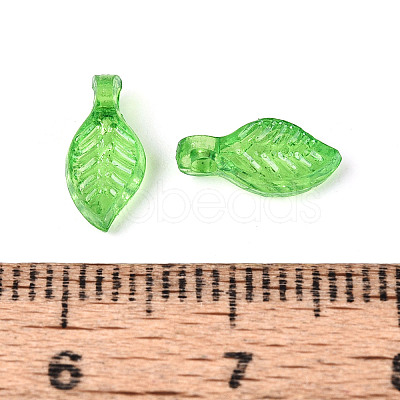 Transparent Plastic Charms KY-N025-09-1