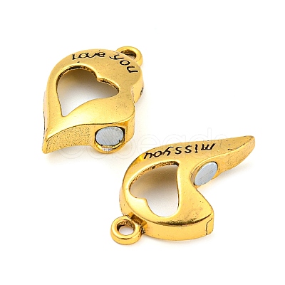 Alloy Magnetic Pendants PALLOY-Z020-05AG-1