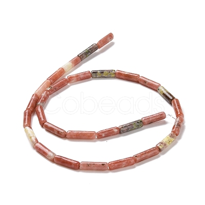Natural Plum Blossom Jasper Beads Strands G-F247-54-1