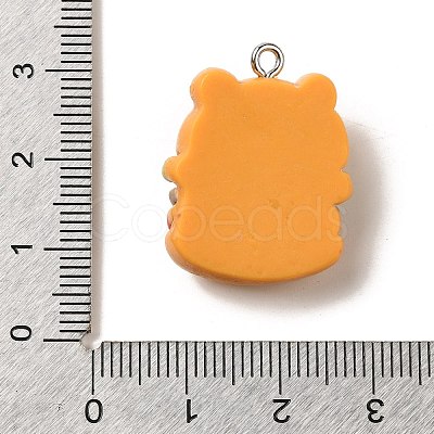 Resin Pendants RESI-A038-02C-1