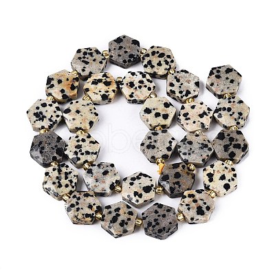 Natural Dalmatian Jasper Beads Strands G-N368-01A-03-1