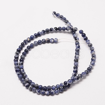 Natural Sodalite Round Bead Strands X-G-P072-27-4mm-1