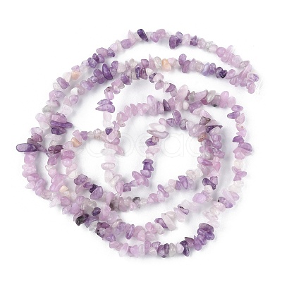 Natural Lepidolite/Purple Mica Stone Beads Strands G-G0003-B07-1