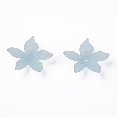 Transparent Acrylic Beads MACR-S373-127-D02-1
