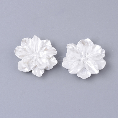 Resin Cabochons X-RESI-S364-46B-1