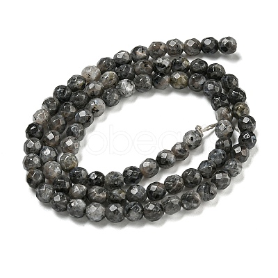 Natural Larvikite Beads Strands G-E571-A09-04-1