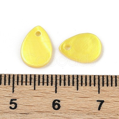 Spray Painted Natural Freshwater Shell Teardrop Charms LS-SHEL-K006-47C-1