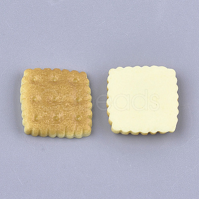 Resin Cabochons CRES-T010-121-1