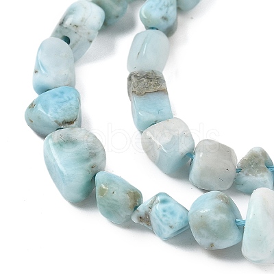 Natural Larimar Beads Strands G-K203-48-1