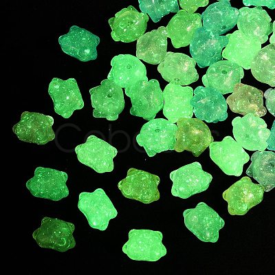 Luminous Transparent Acrylic Beads OACR-B031-19-1