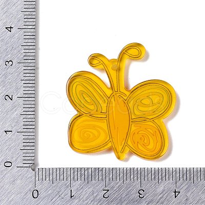 Acrylic Pendants OACR-R271-06B-1
