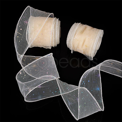 Polyester Deco Mesh Ribbons OCOR-TAC0024-004F-1